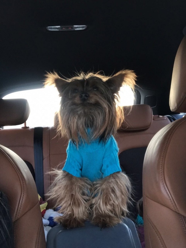 foto:Silvia Elias  - lo hecho en México