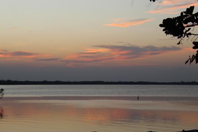 foto:Carlos Lopez Romero   - lo hecho en México