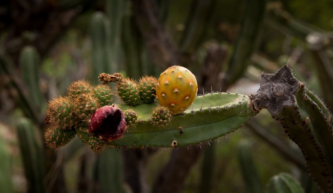 foto:Gonzalo Emmanuel Rivera Méndez - lo hecho en México