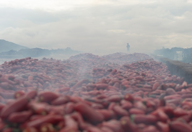 foto:TELMA ALONDRA RANGEL GABALDON  - lo hecho en México