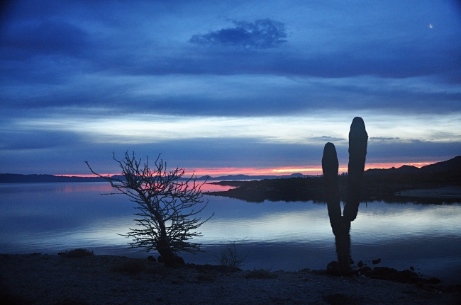 foto:Marco Francisco Arellano Frausto - lo hecho en México