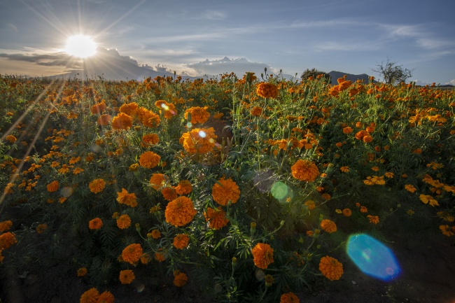 foto:Gustavo Lopez Rebollar - lo hecho en México