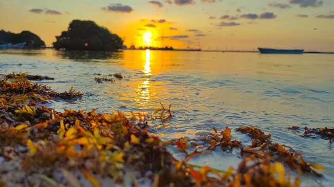 foto:Oscar Sandoval  - lo hecho en México