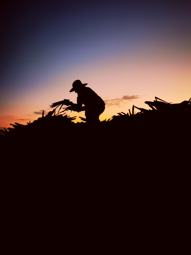 foto:Gerardo Villaseñor  - lo hecho en México