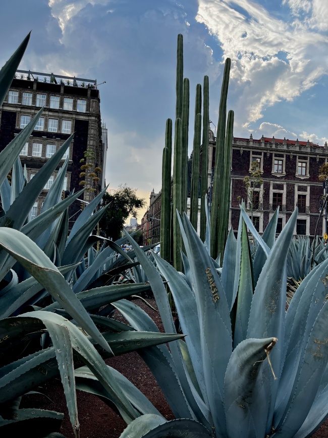 foto:Christian Carlos Huerta Hernandez  - lo hecho en México
