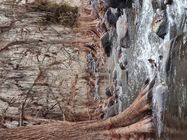 foto:Carlos Jordan Marquez Arevalo  - lo hecho en México