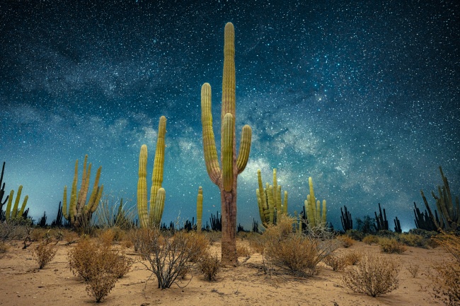 foto:Josue Alfonzo Marquez Navarro - lo hecho en México