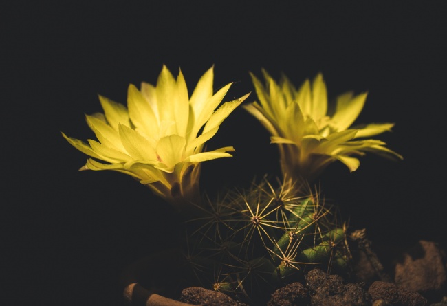 foto:María Fernanda Clemente Vega   - lo hecho en México