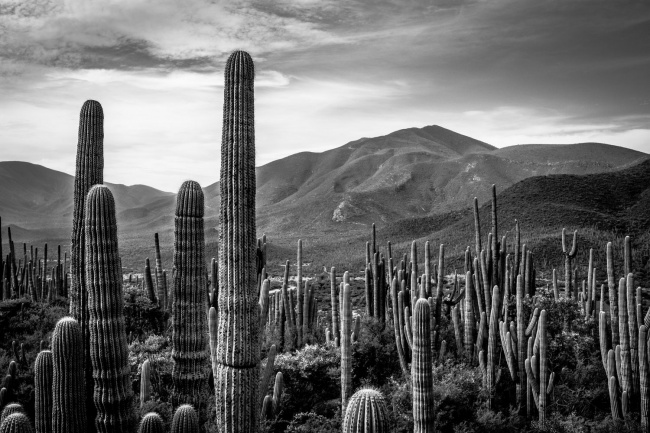 foto:Mario Manzano Camarillo  - lo hecho en México