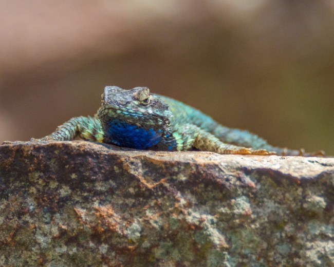 foto:Rogelio Valencia Navarro  - lo hecho en México