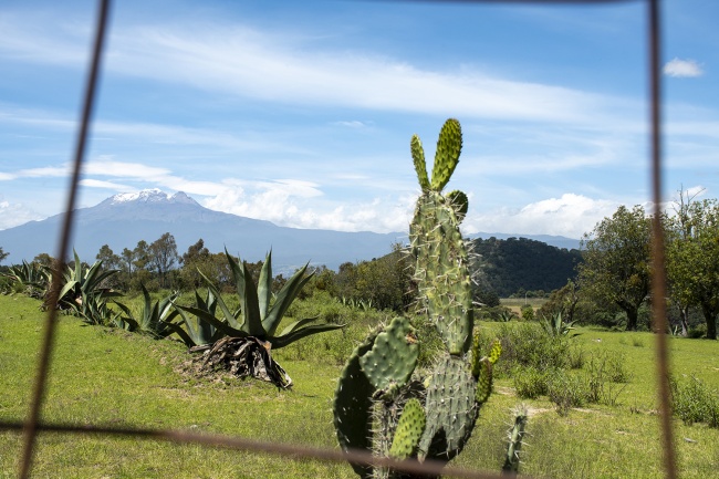 foto:María del Mar Canasi Caro del Castillo - lo hecho en México