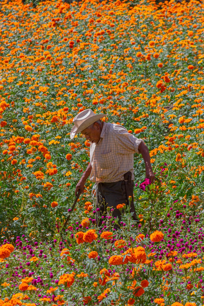 foto:Sergio Vásquez García - lo hecho en México