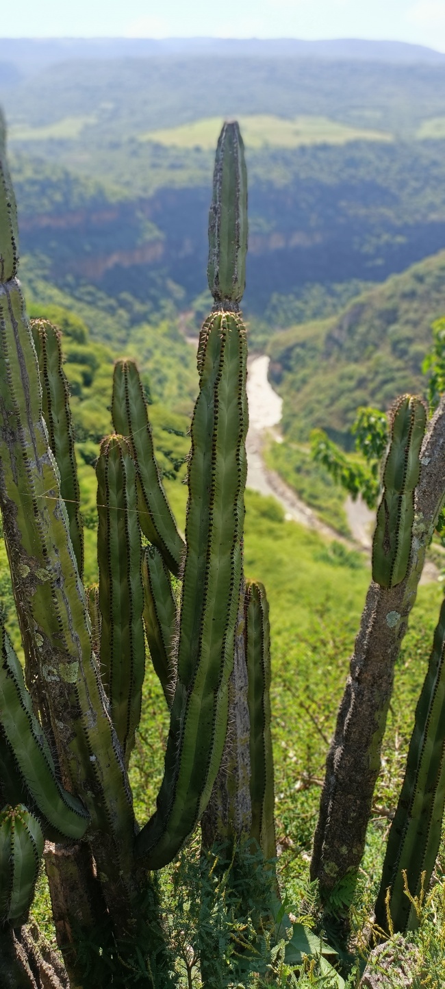 foto:José María Plascencia Reyes  - lo hecho en México