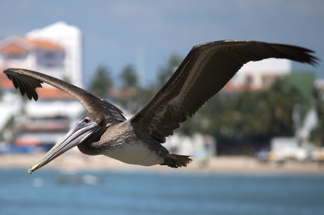 foto:Sergio Guerra Macías - lo hecho en México
