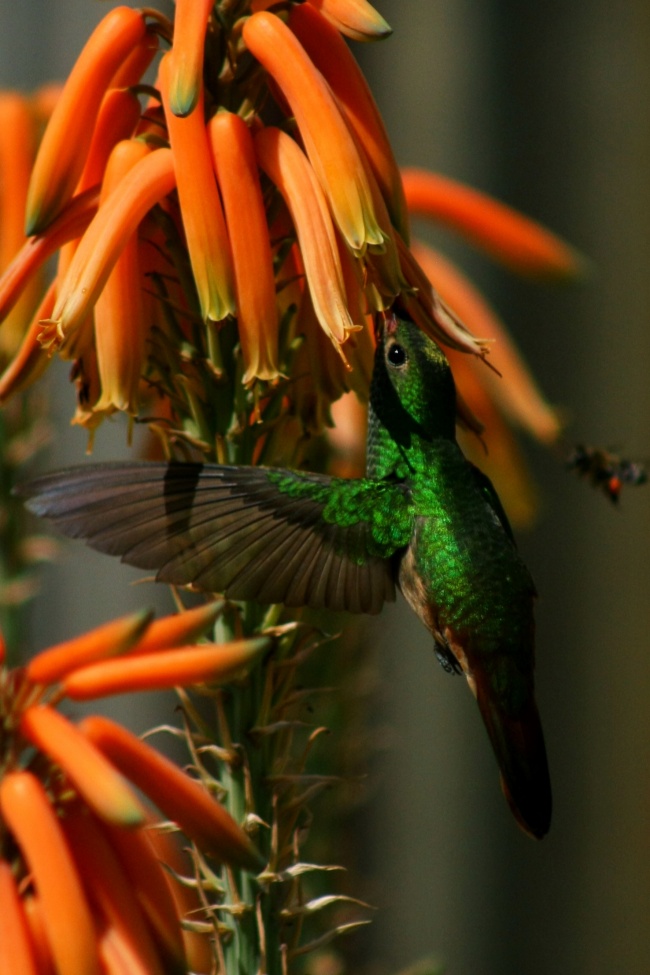 foto:Gustavo Hernández Esparza - lo hecho en México