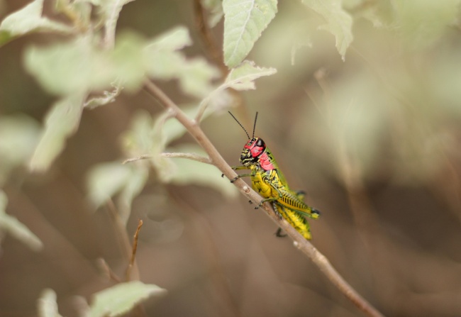 foto:Madeleine Fernández Teco - lo hecho en México
