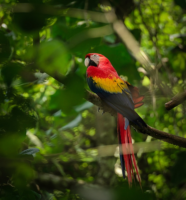 foto:Eduardo Domínguez Zamudio  - lo hecho en México