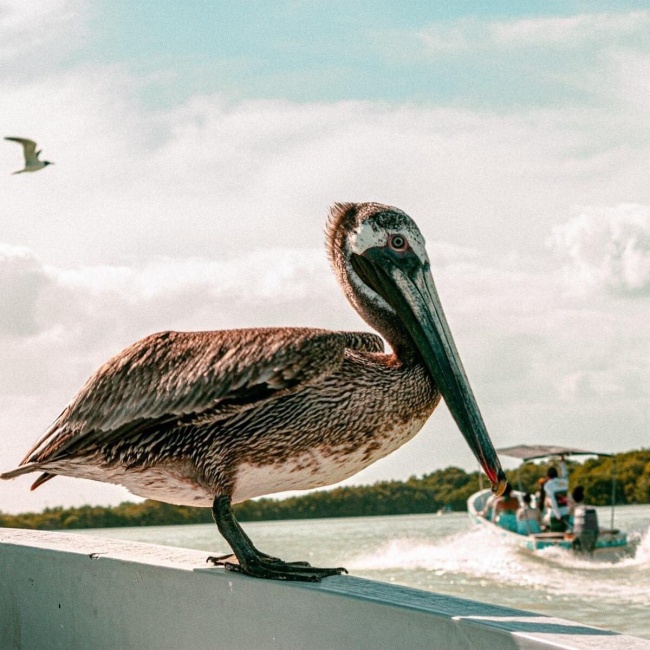 foto:María Gregoria Aguilar de Bracho - lo hecho en México
