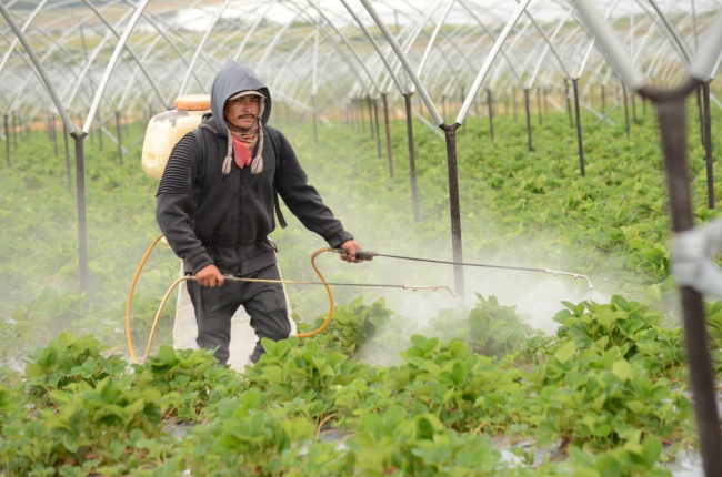 foto:Raul Leyva Camacho - lo hecho en México