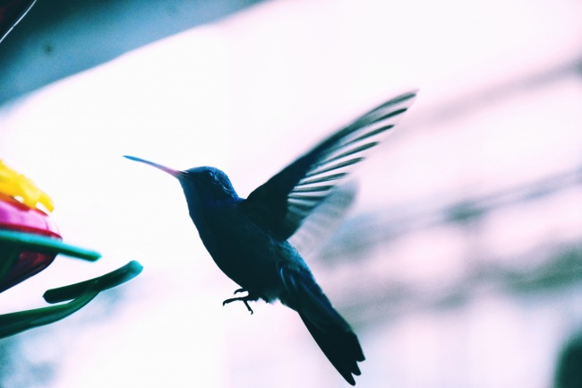 foto:Edith Alvarez Del Pino - lo hecho en México