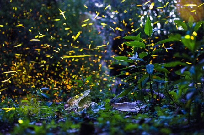 foto:PARIS CLAUDIO Ruiz Rosales  - lo hecho en México