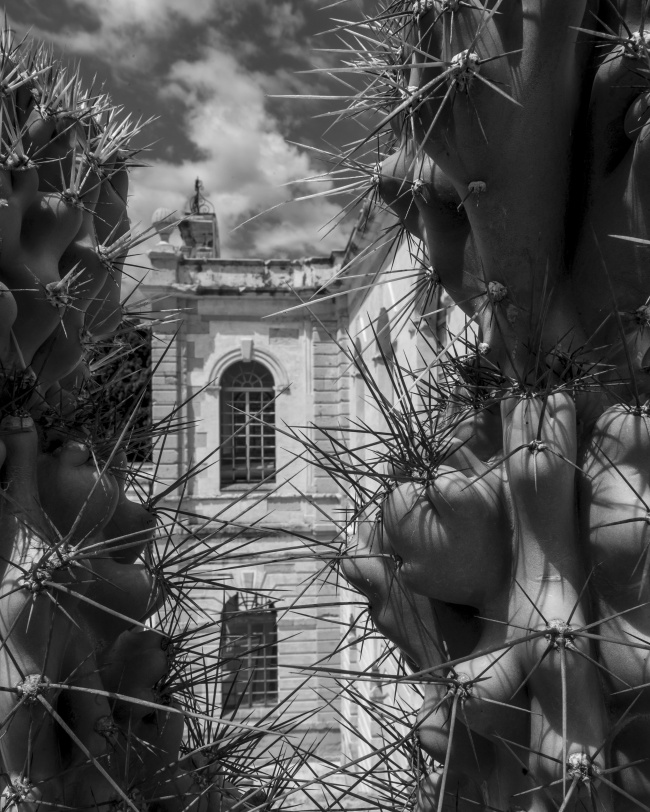 foto:Guillermo Alvarez Híjar - lo hecho en México