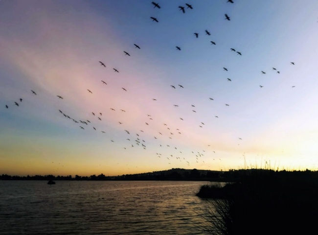 foto:Yazmin Zárate Hernández  - lo hecho en México