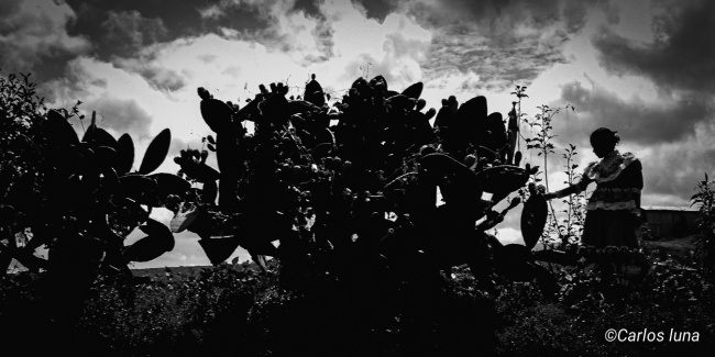 foto:Carlos Ramón Luna Salazar  - lo hecho en México