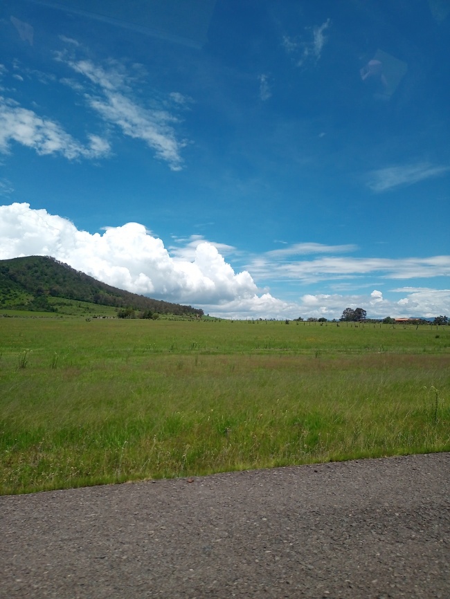 foto:Yuriana Mahe Guzman  - lo hecho en México