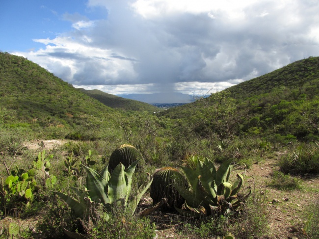 foto:Mauricio Cid Chávez - lo hecho en México