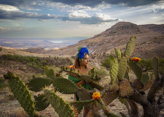 foto:Fernandi Sánchez Castellanos Iturbe - lo hecho en México