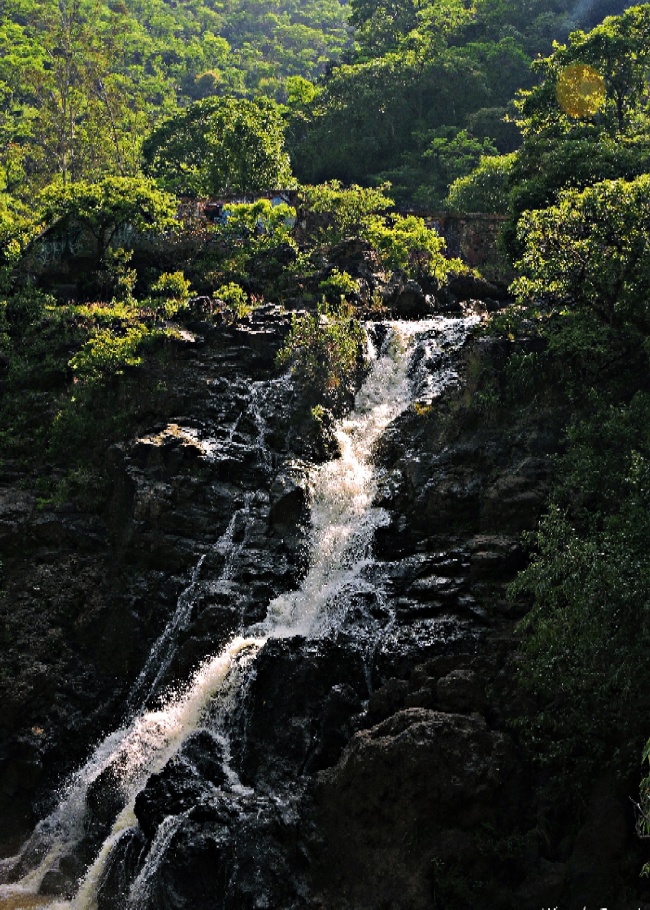 foto:luis angel bedolla arreola  - lo hecho en México