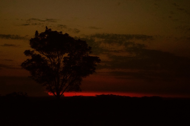 foto:Adrian Quezada Polanco - lo hecho en México