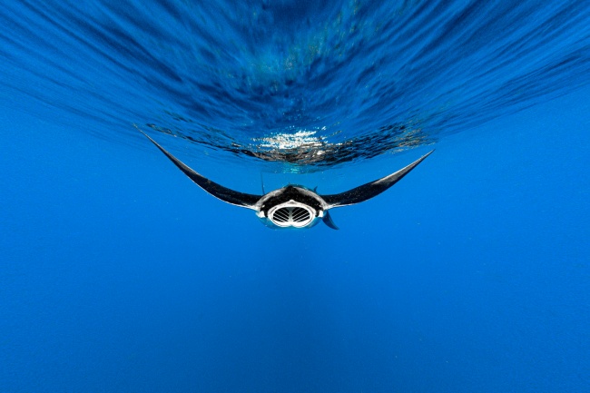 foto:Mizael palomeque   - lo hecho en México