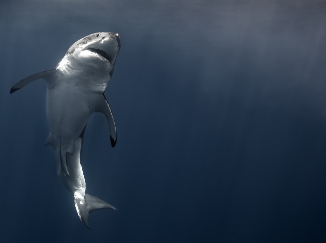 foto:Cecilia Gutiérrez Navarro   - lo hecho en México