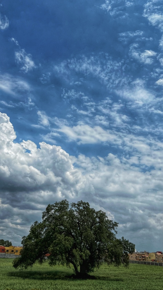 foto:Iván Alejandro de la Peña López   - lo hecho en México