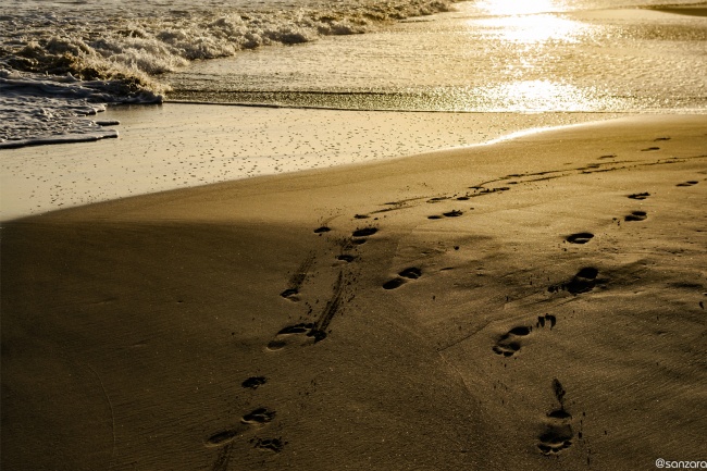 foto:BENJAMIN SANCHEZ ZARAGOZA  - lo hecho en México