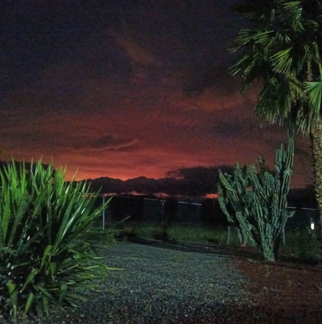 foto:Roberto Rodriguez Rodriguez   - lo hecho en México