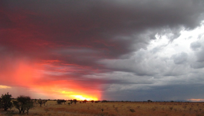 foto:Emiliano Romo Hernández  - lo hecho en México