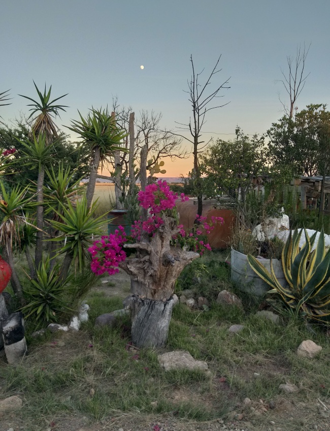 foto:Carmina Romo Hernández  - lo hecho en México