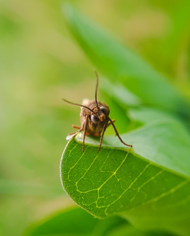 foto:Saúl Tonalli Rodríguez Vázquez  - lo hecho en México