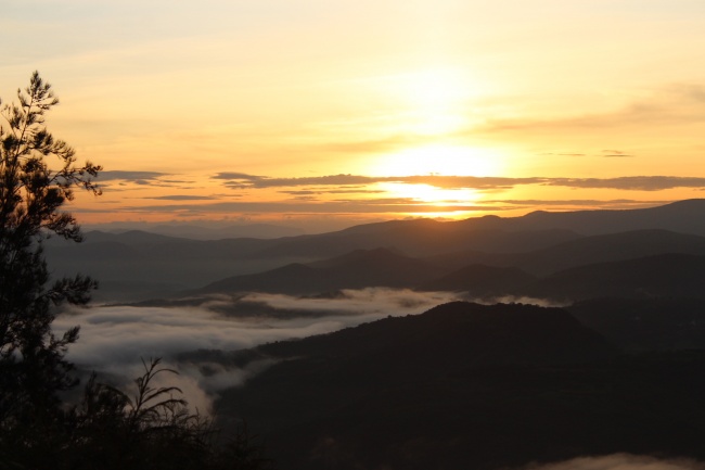 foto:Maricela Carrasco Trinidad   - lo hecho en México