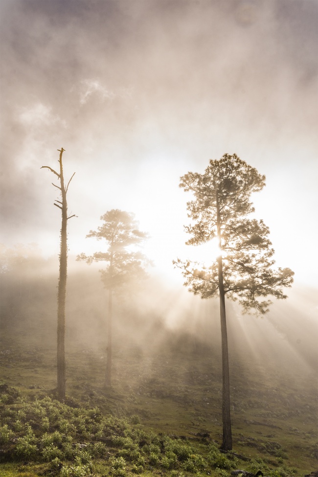 foto:Alfredo Jiménez Velázquez   - lo hecho en México