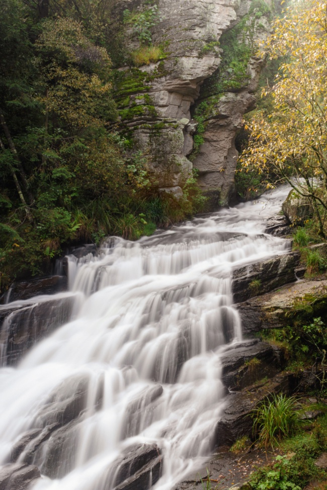 foto:Jesús David Chávez Guevara   - lo hecho en México