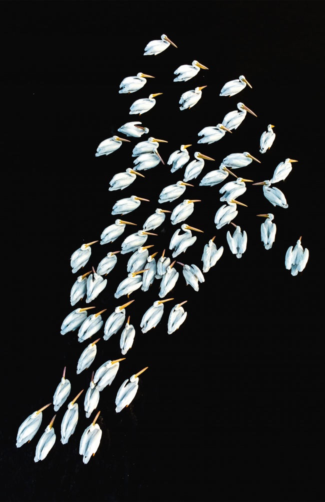 foto:Guillermo Soberón Tirado  - lo hecho en México