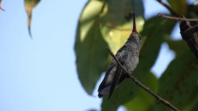 foto:cristhian calderon hernandez  - lo hecho en México
