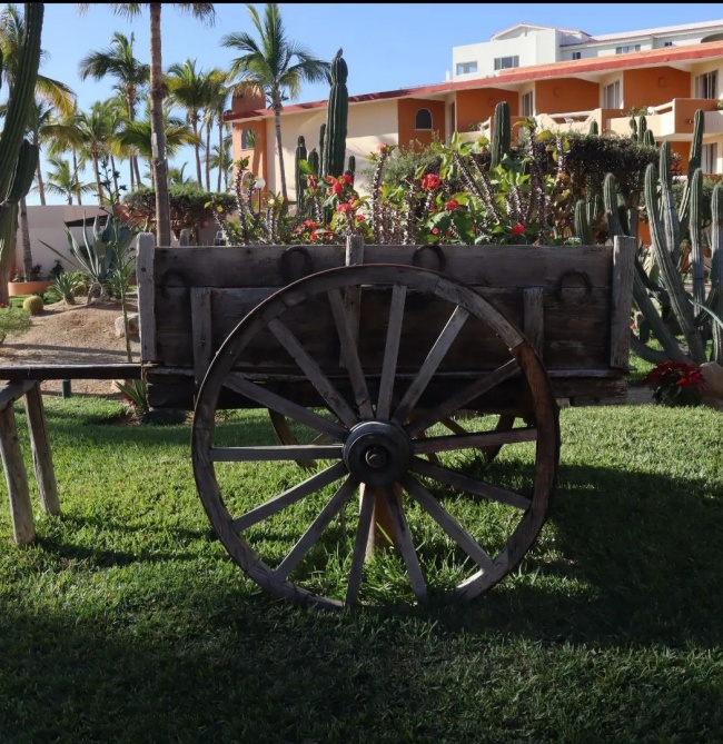 foto:Berenice Ramos Juárez - lo hecho en México