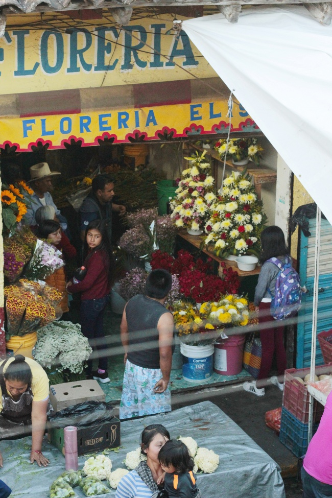 foto:Laura Márquez Córdova  - lo hecho en México