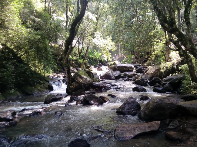 foto:Demian Jared Alexander Segura Valadez  - lo hecho en México