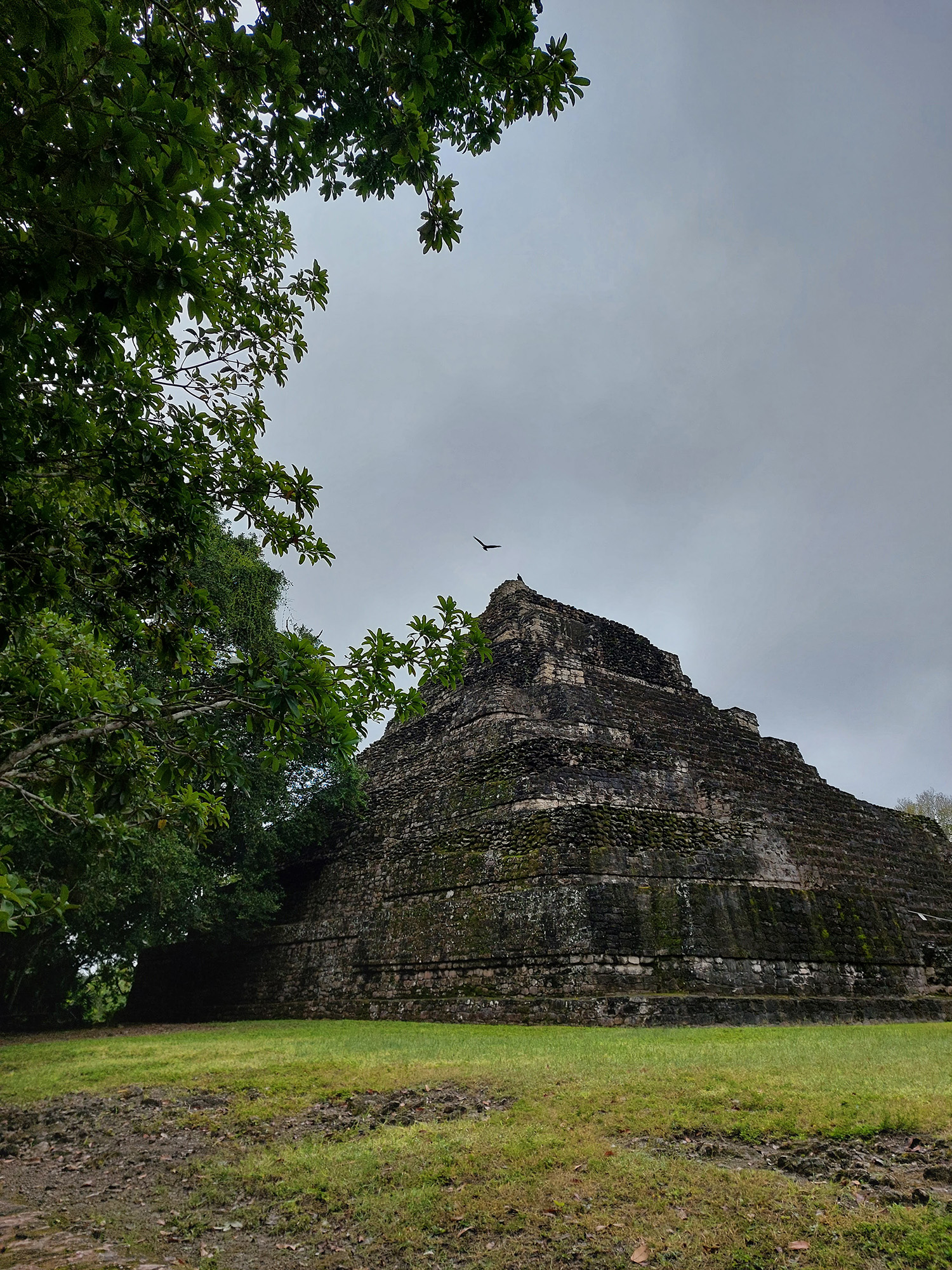 foto:PEDRO AUGUSTO GUZMAN GONZALEZ   - lo hecho en México